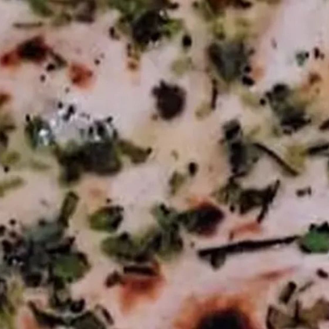 तवा नान (Tawa naan recipe in Hindi)