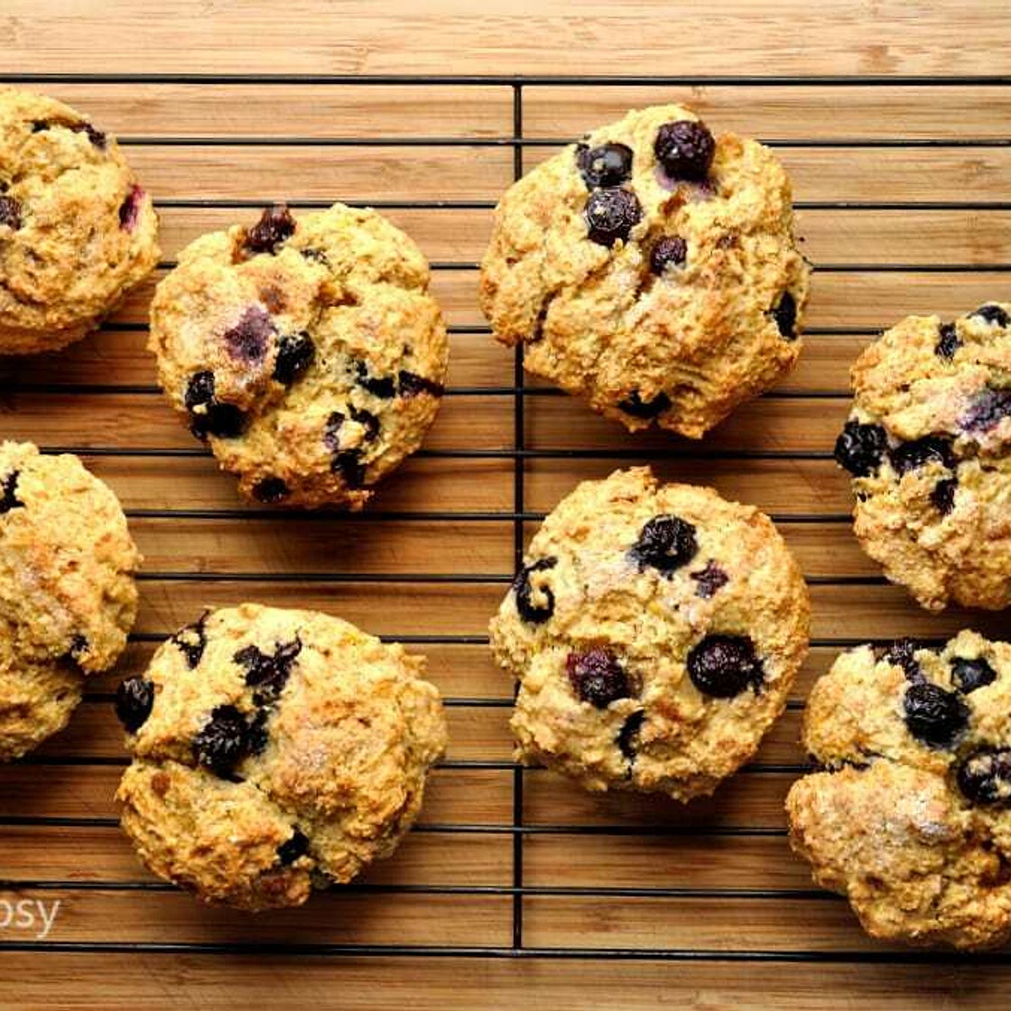 Lemon Blueberry Sourdough Muffins