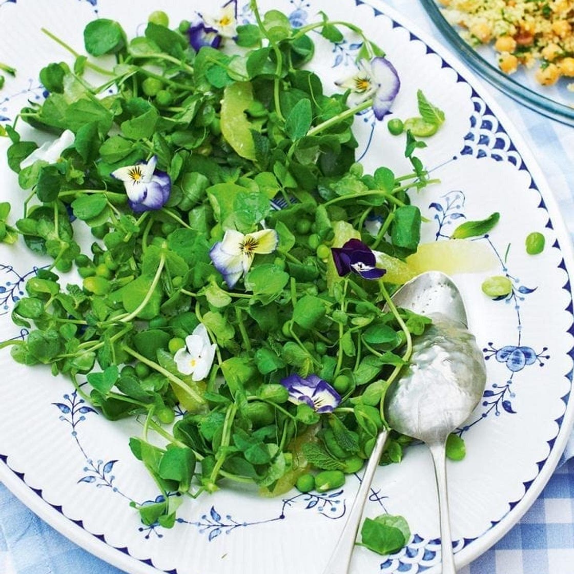 Pea shoot salad