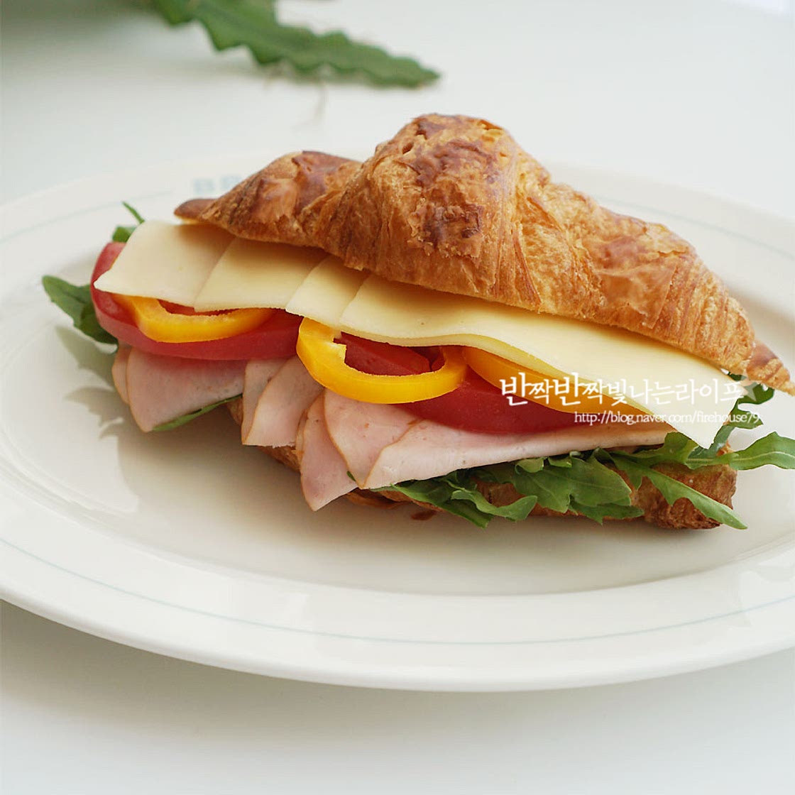 크로와상 샌드위치 만들기 홈 브런치 메뉴 딱이에요