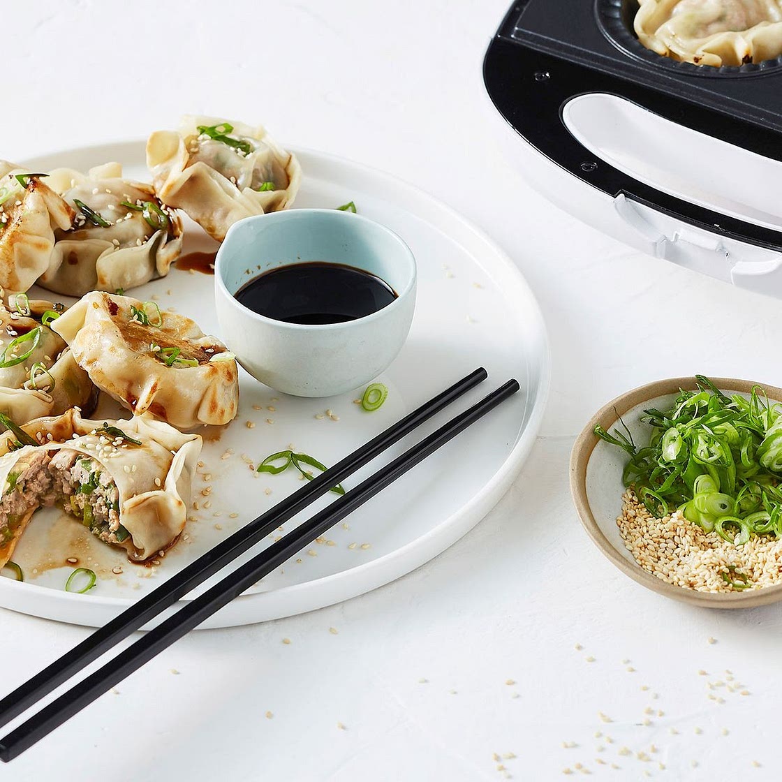 Pie Maker Pork Dumplings recipe