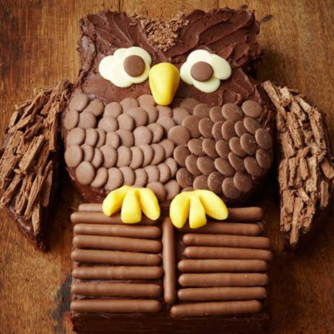 Chocolate owl cake
