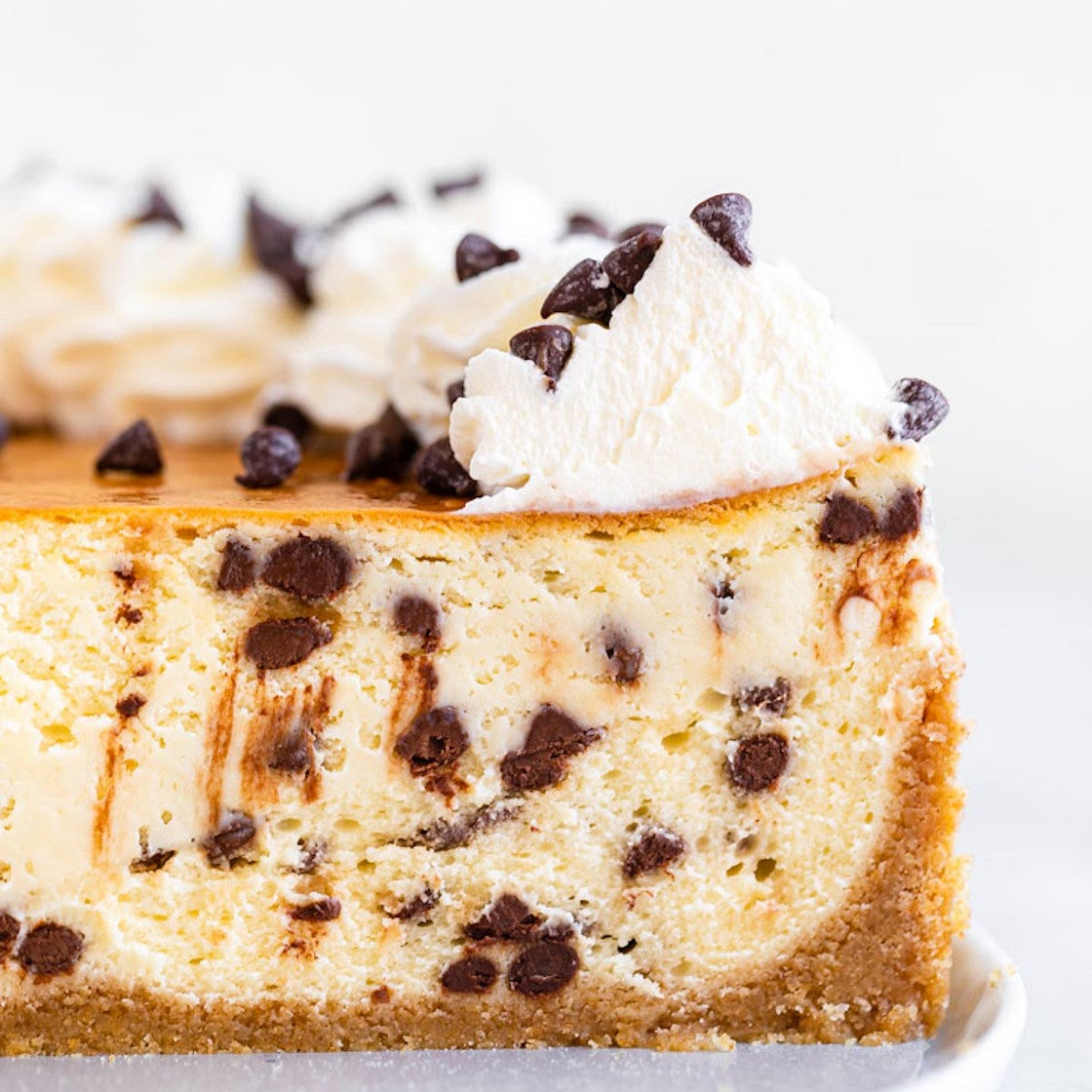 Creamy Chocolate Chip Cheesecake with Mini Chips & Whipped Cream