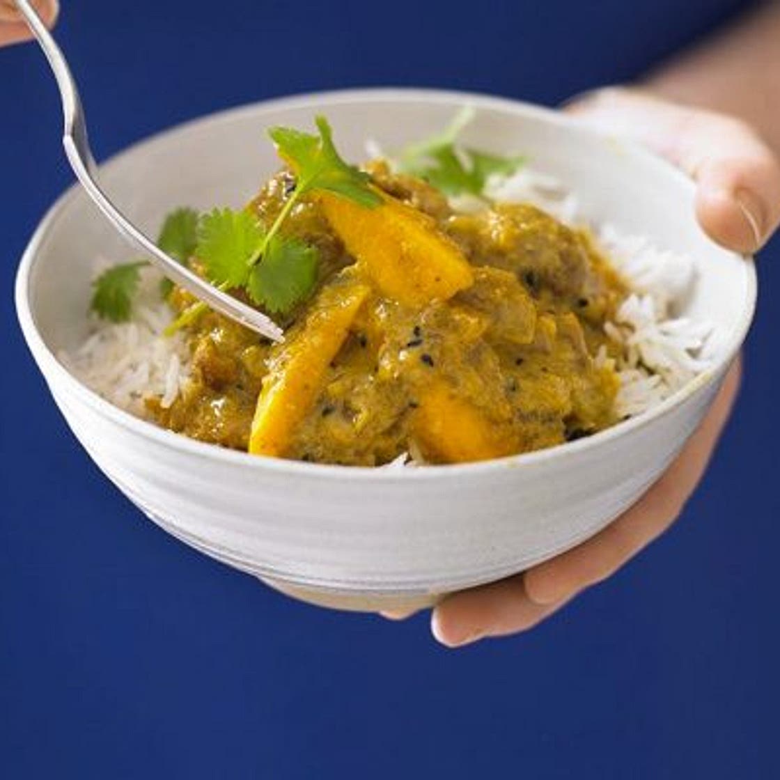 Creamy chicken & mango curry