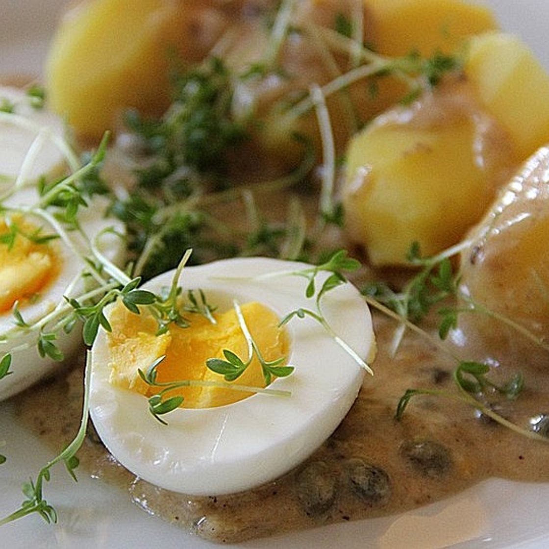 Eier in Senfsauce