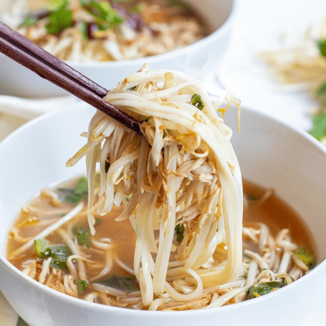 Crock Pot Chicken Pho