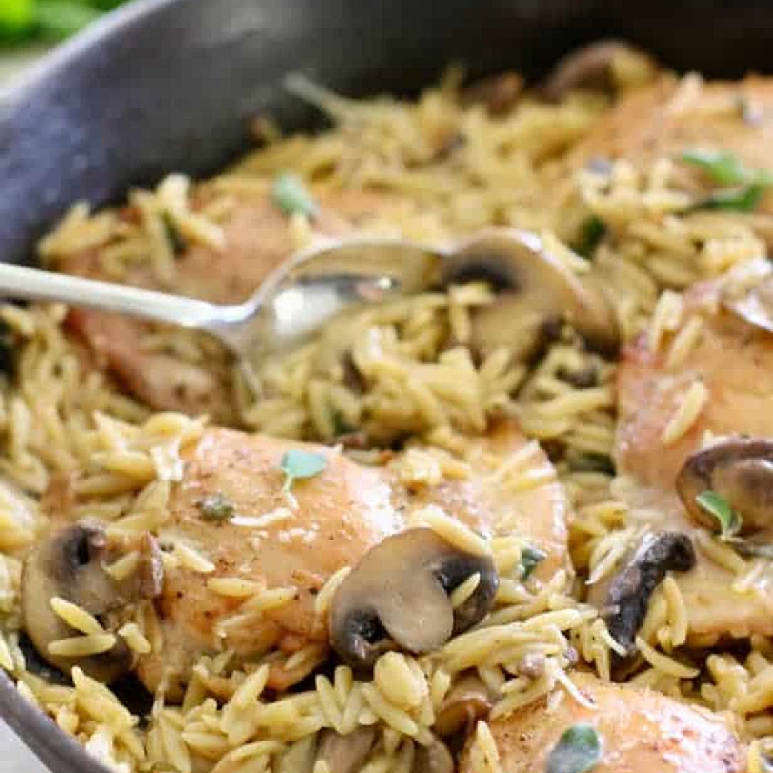 Creamy One Skillet Chicken with Mushrooms and Orzo