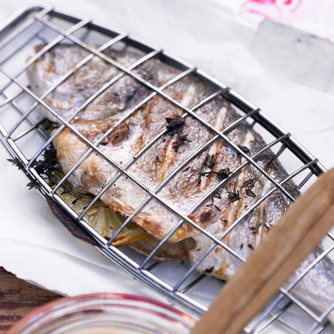 Dorade aus der Zange