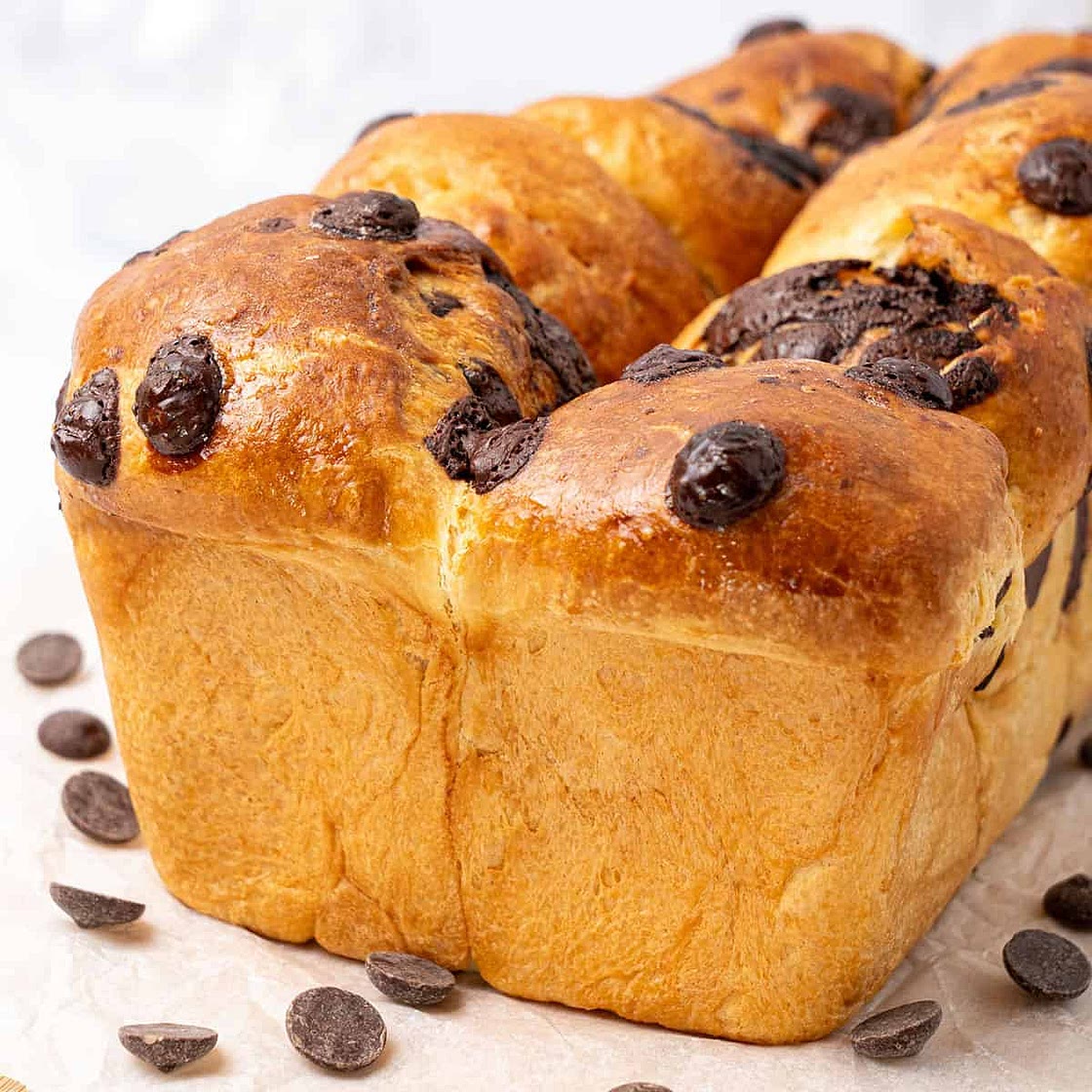 Chocolate Chip Brioche Bread