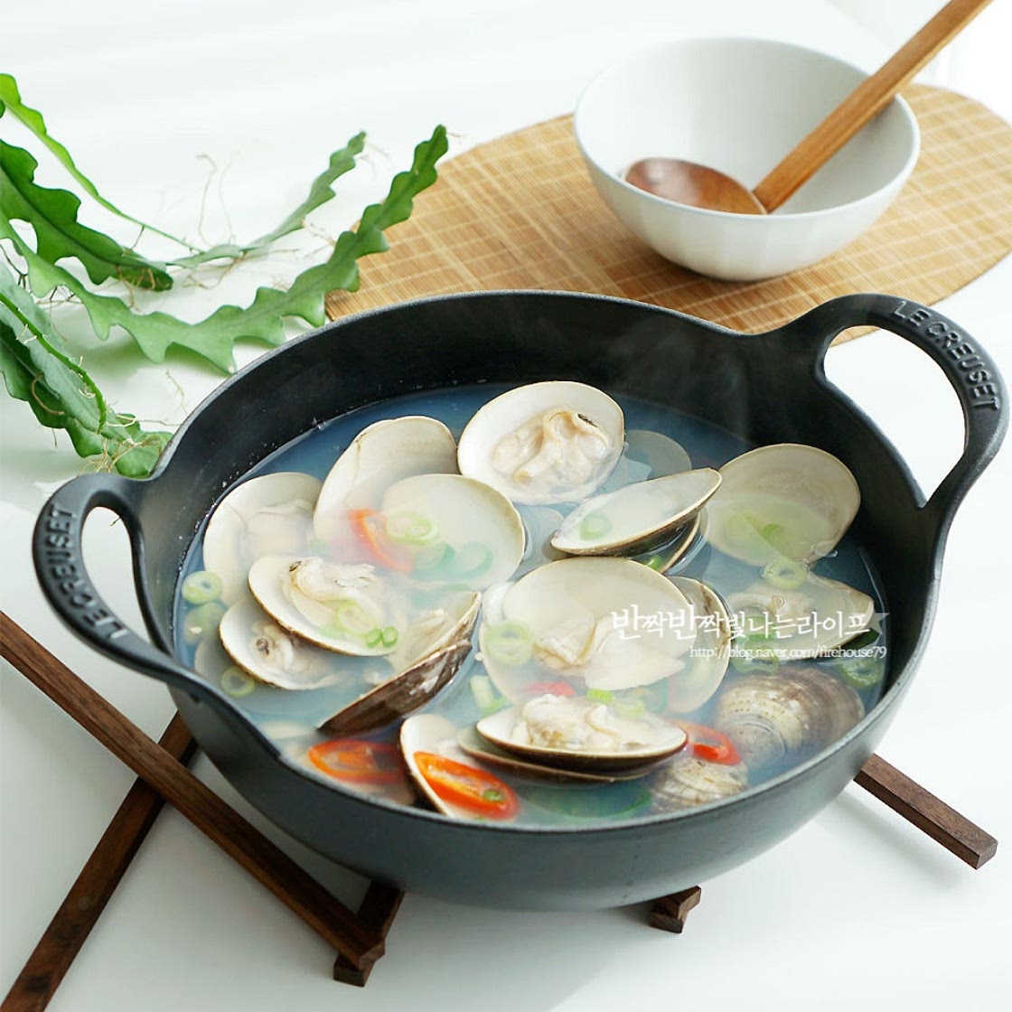 백합탕 해감 부터 백합 칼국수 끓이는법 까지 백합조개탕 조개 요리