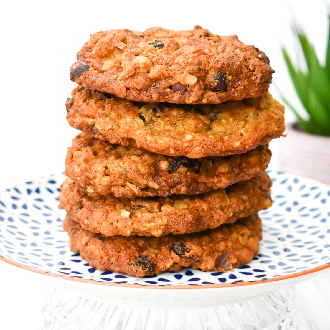 Easy Vegan Hazelnut & Raisin Cookies