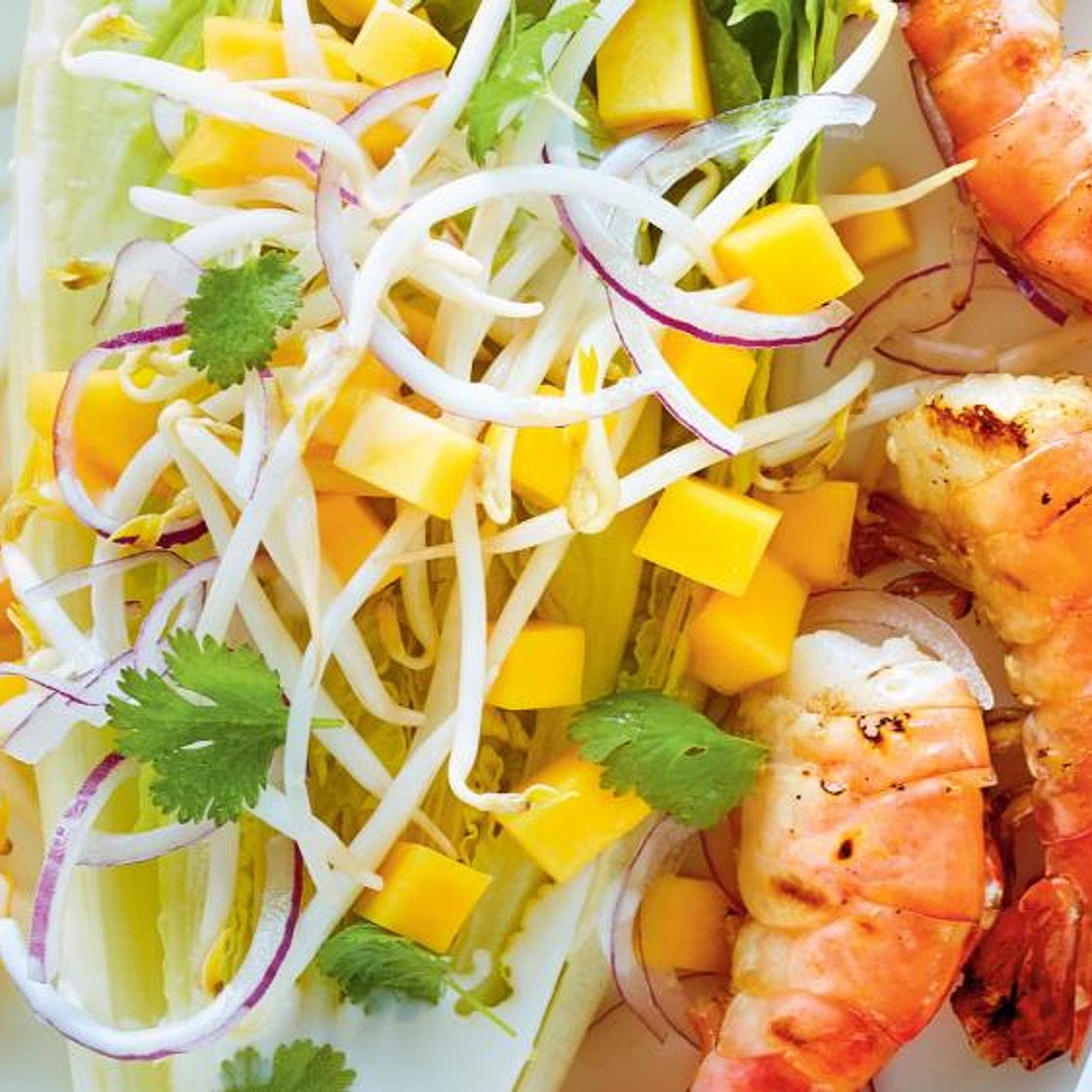 Grilled Shrimp with Romaine Lettuce and Coconut Milk Dressing