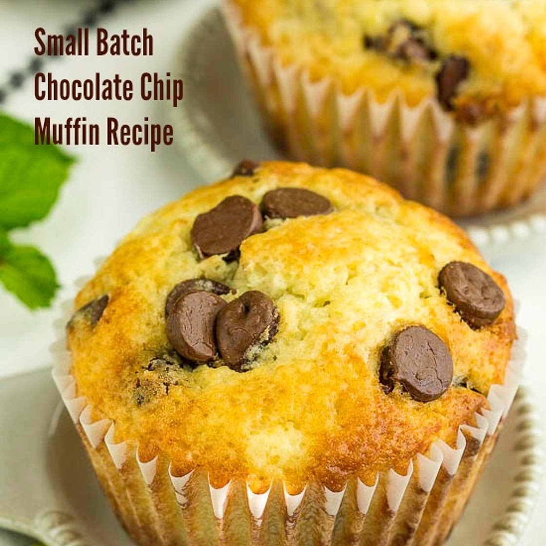 Small Batch Chocolate Chip Muffin Recipe