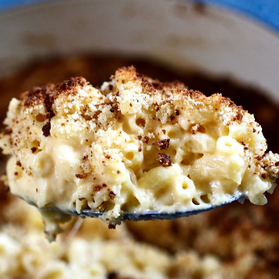 Dutch Oven Macaroni and Cheese