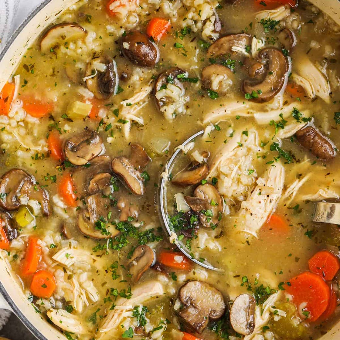 Chicken and Mushroom Soup