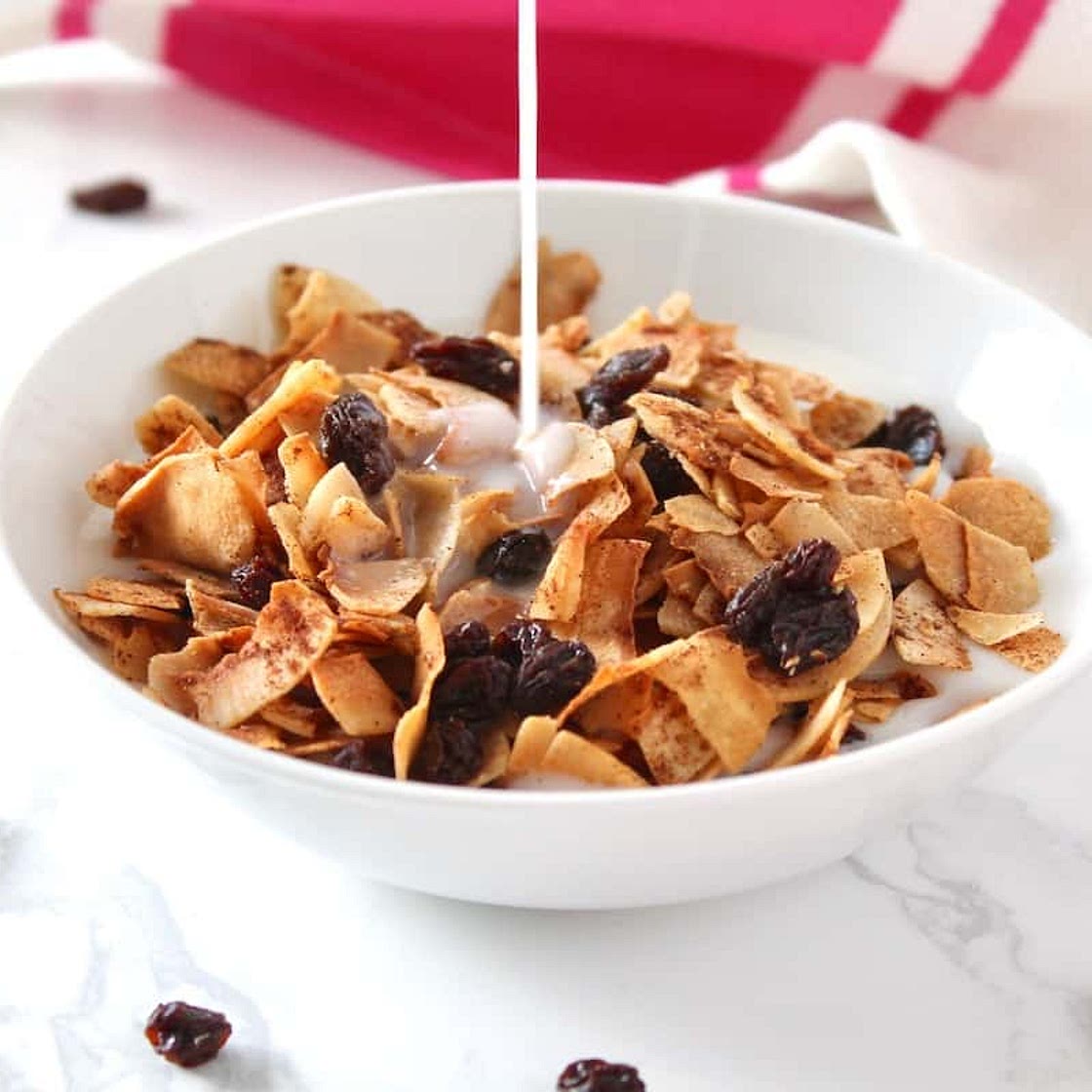 Easy AIP “Raisin Bran” Breakfast Cereal Recipe