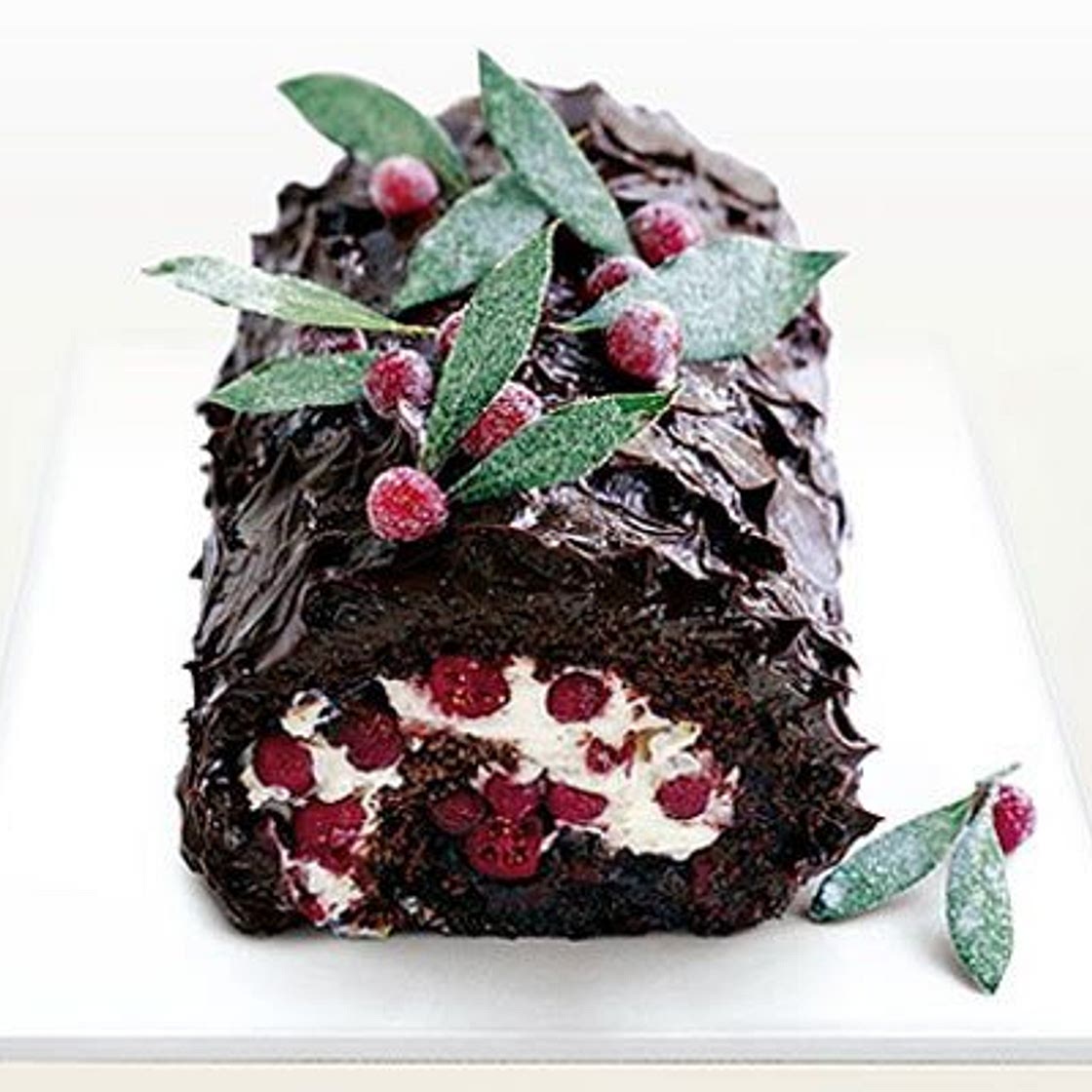 Dark chocolate & cranberry roulade