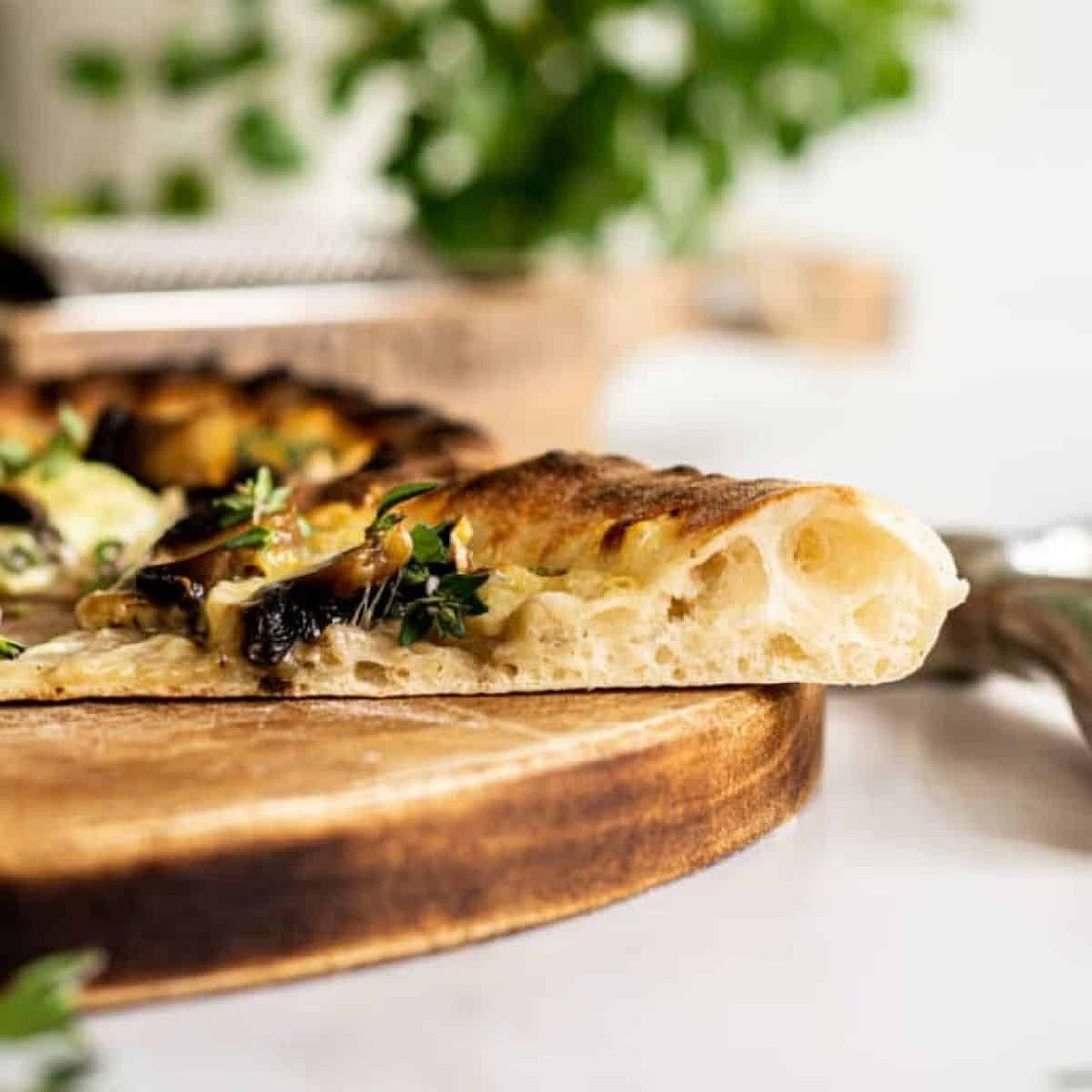 Sourdough Pizza Dough Recipe (No Yeast!)