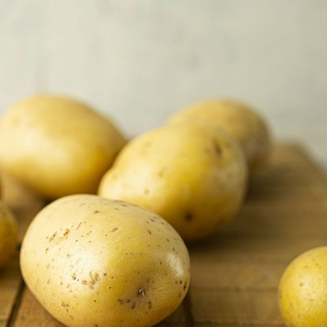 Parmentier de canard