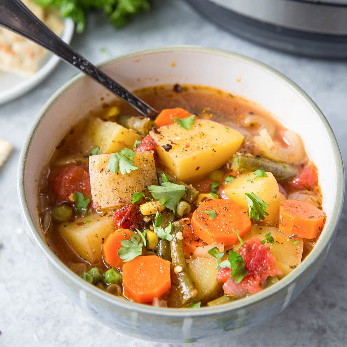 Instant Pot Vegetable Soup