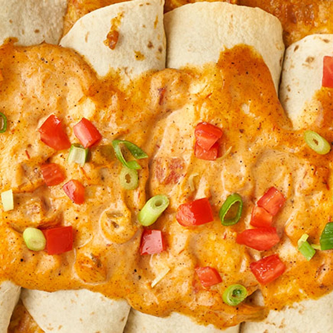 Easy Chicken and Cheese Enchiladas