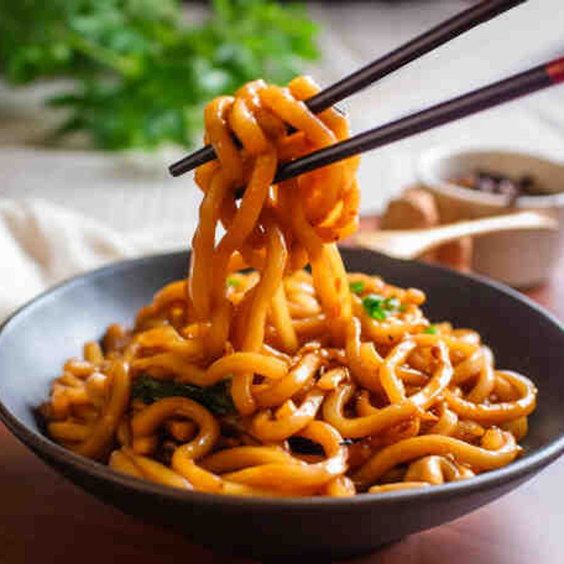 Vegetable Yaki Udon Noodles