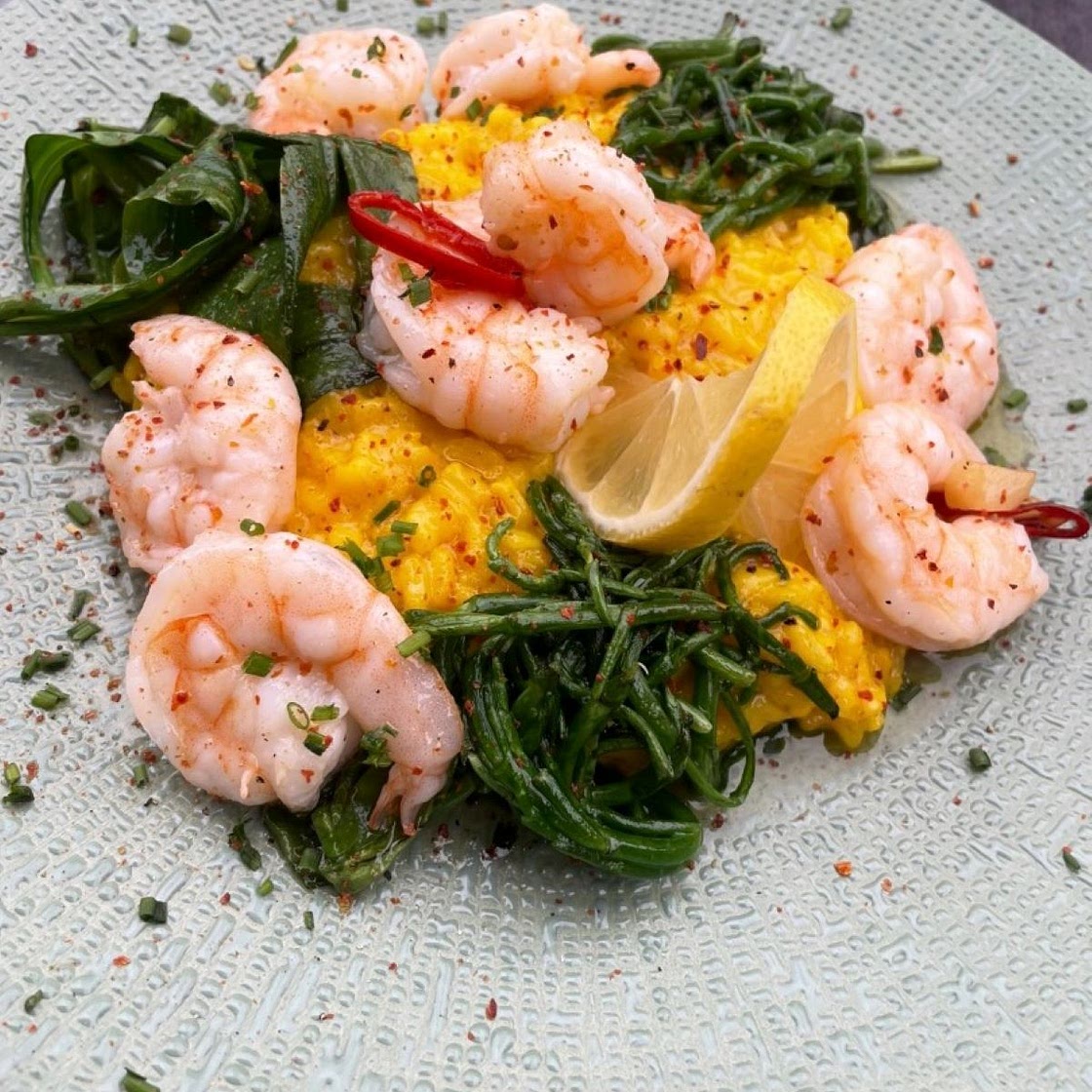 Saffron Shrimp Risotto with Samphire and Lamb´s Lettuce