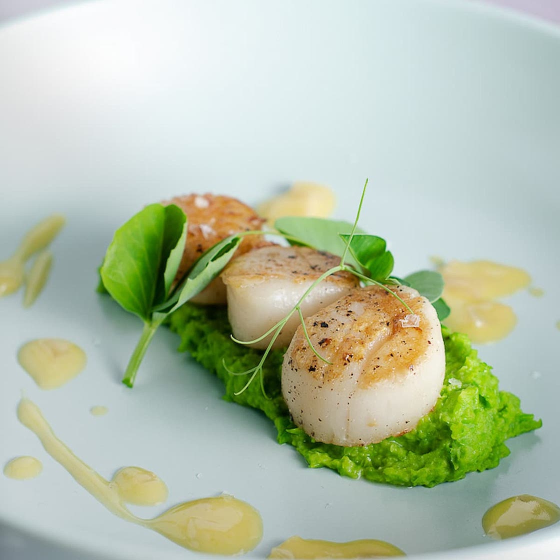 Seared Scallops with Pea Puree & Butter Sauce