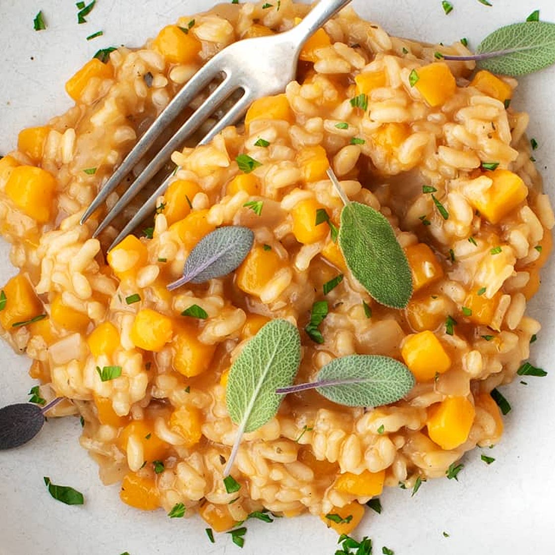 Butternut Squash Risotto