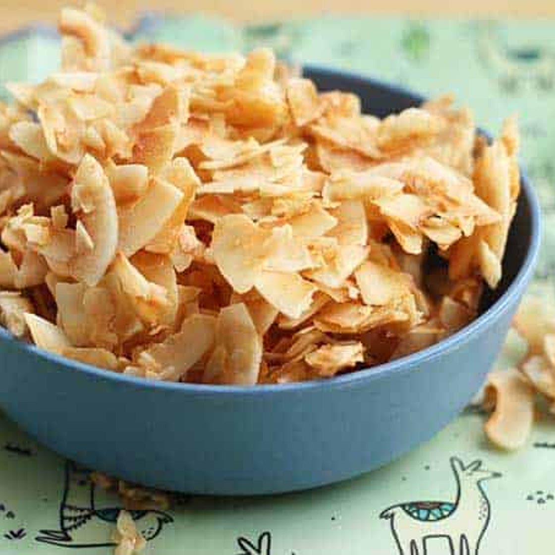 Easy Coconut Chips