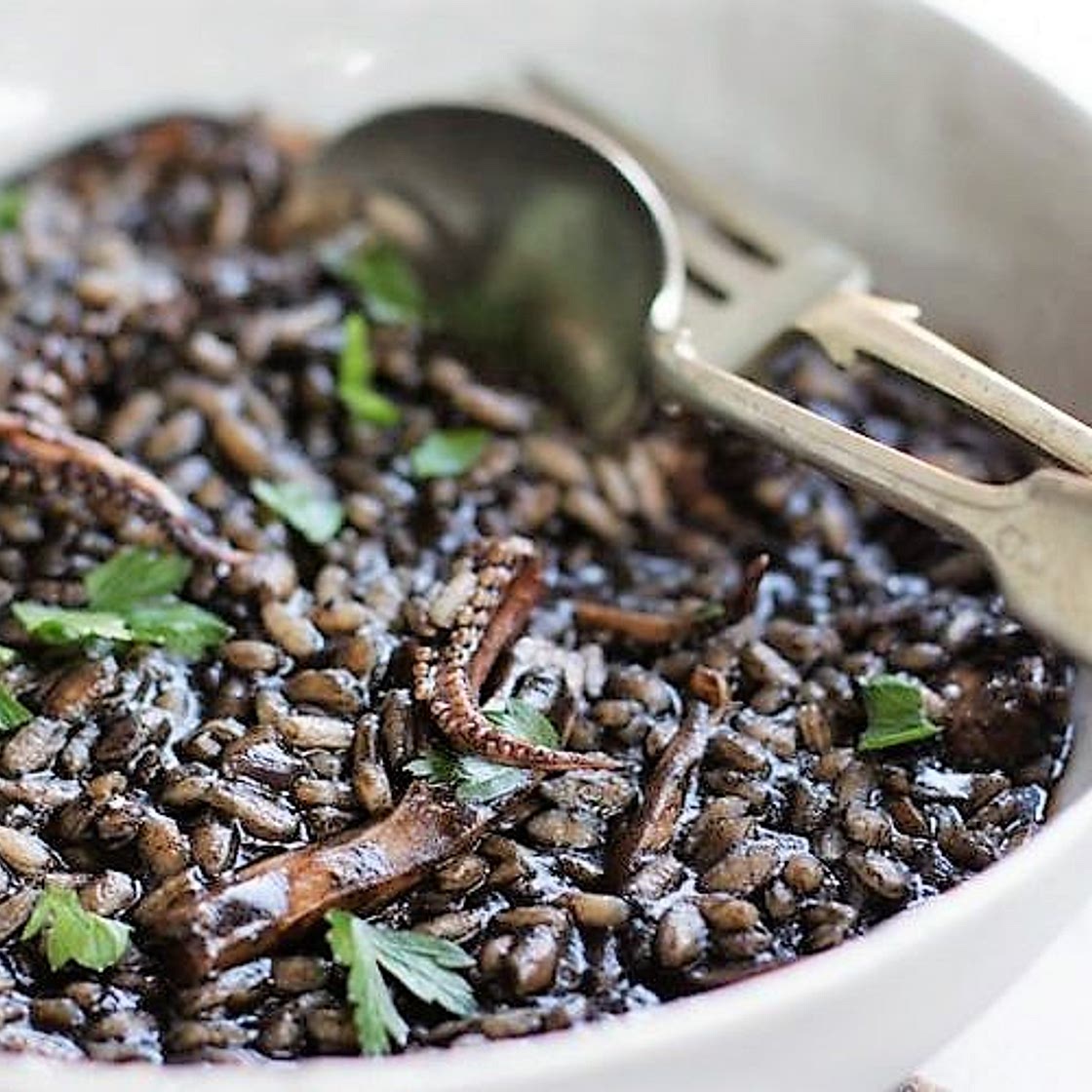 Risotto nero