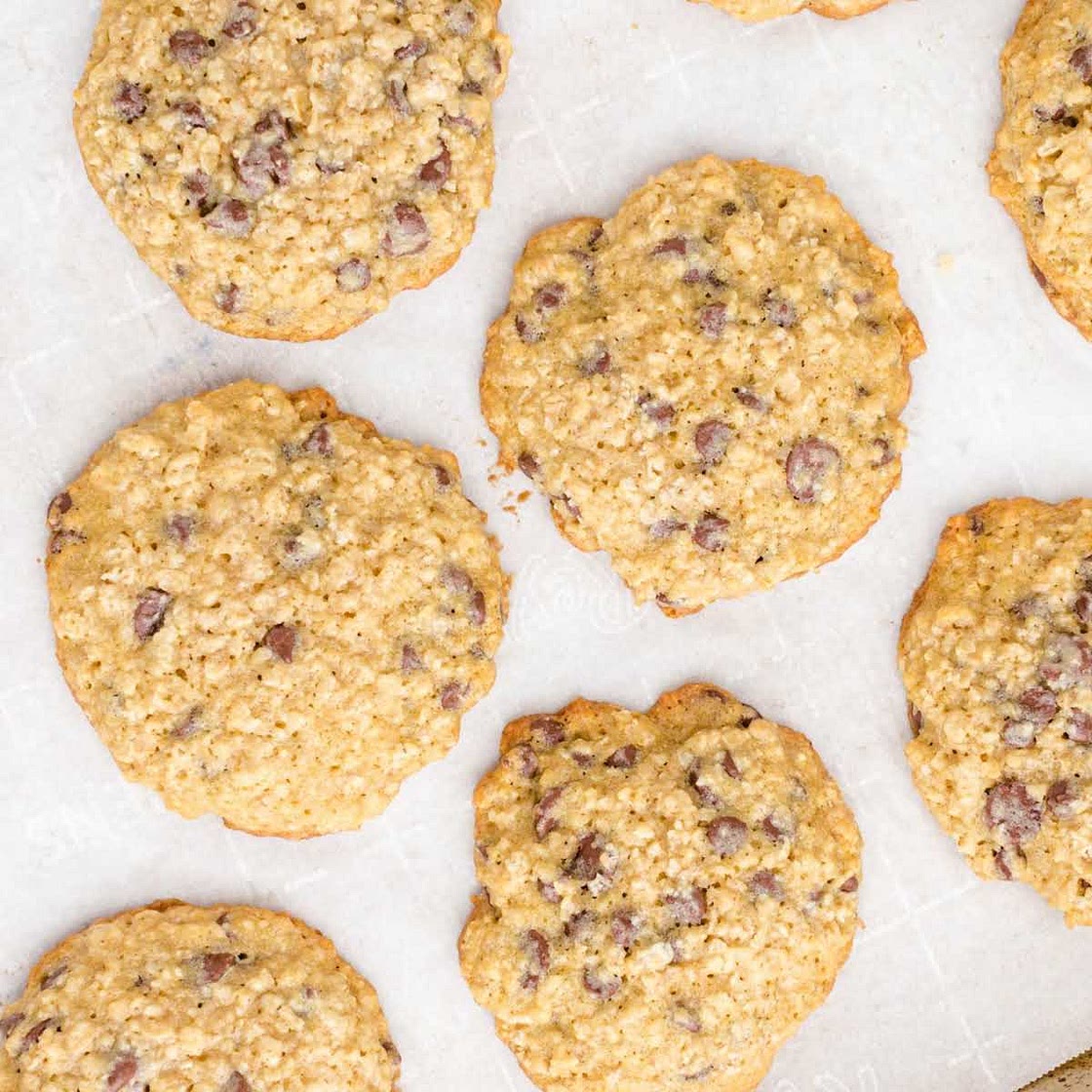 Oatmeal Chocolate Chip Cookie Recipe