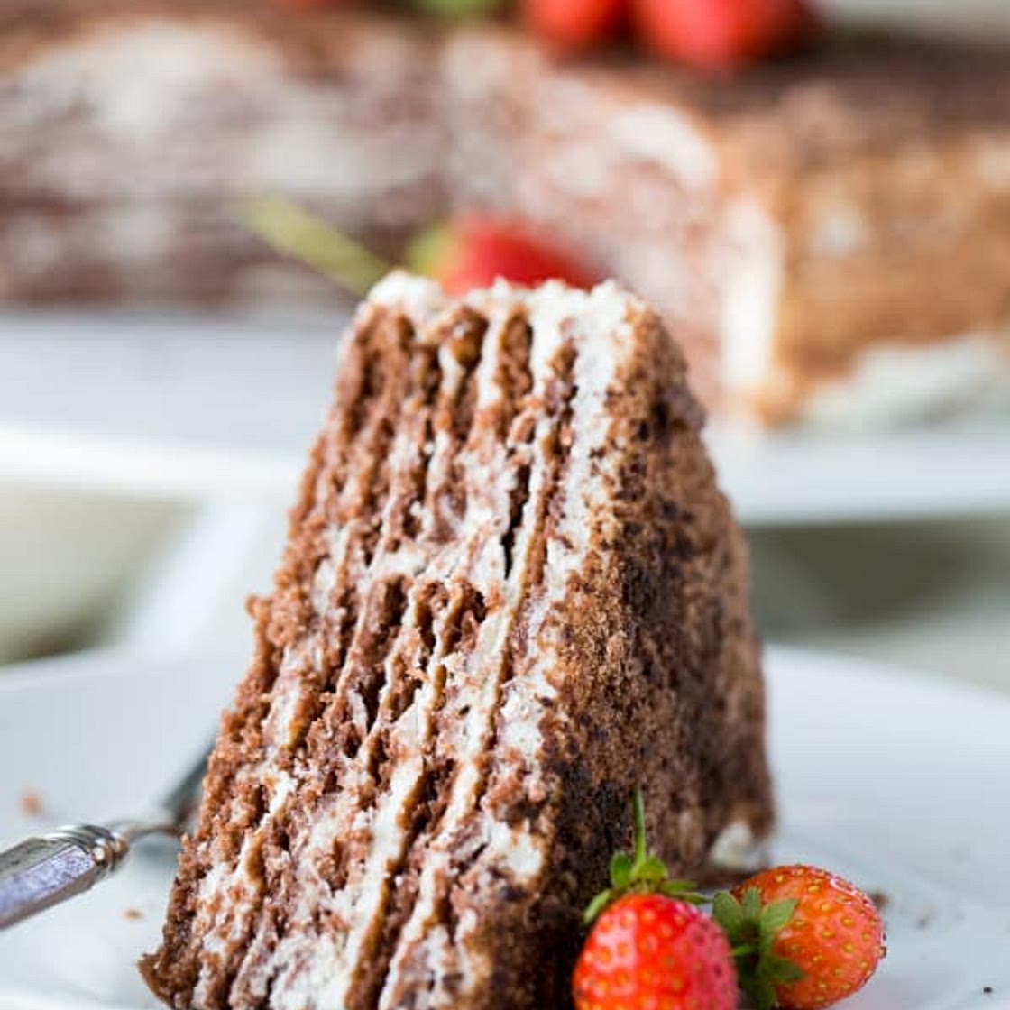 Chocolate Spartak Cake Recipe