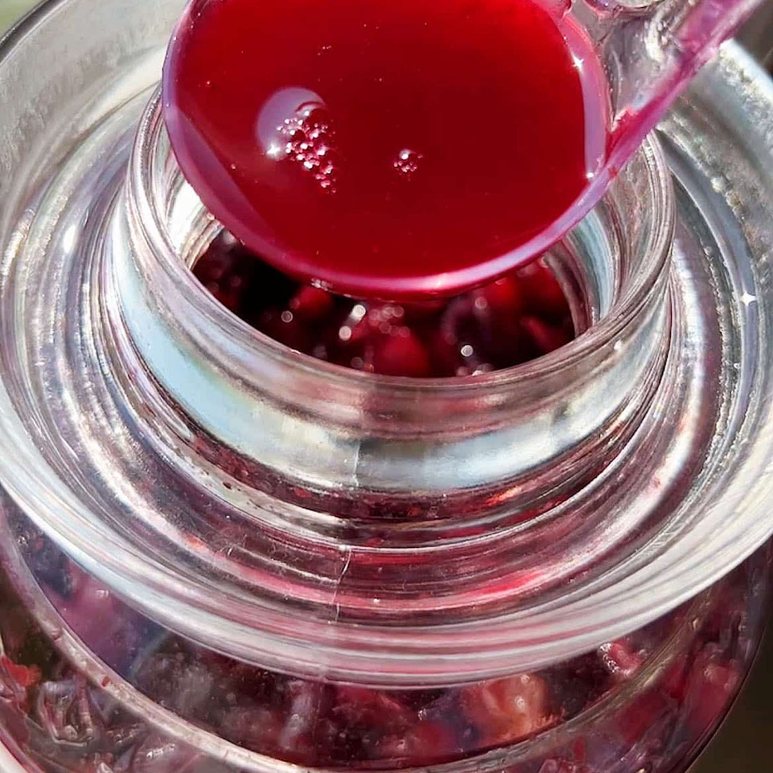 Homemade Grape Wine Recipe - 2 ingredients