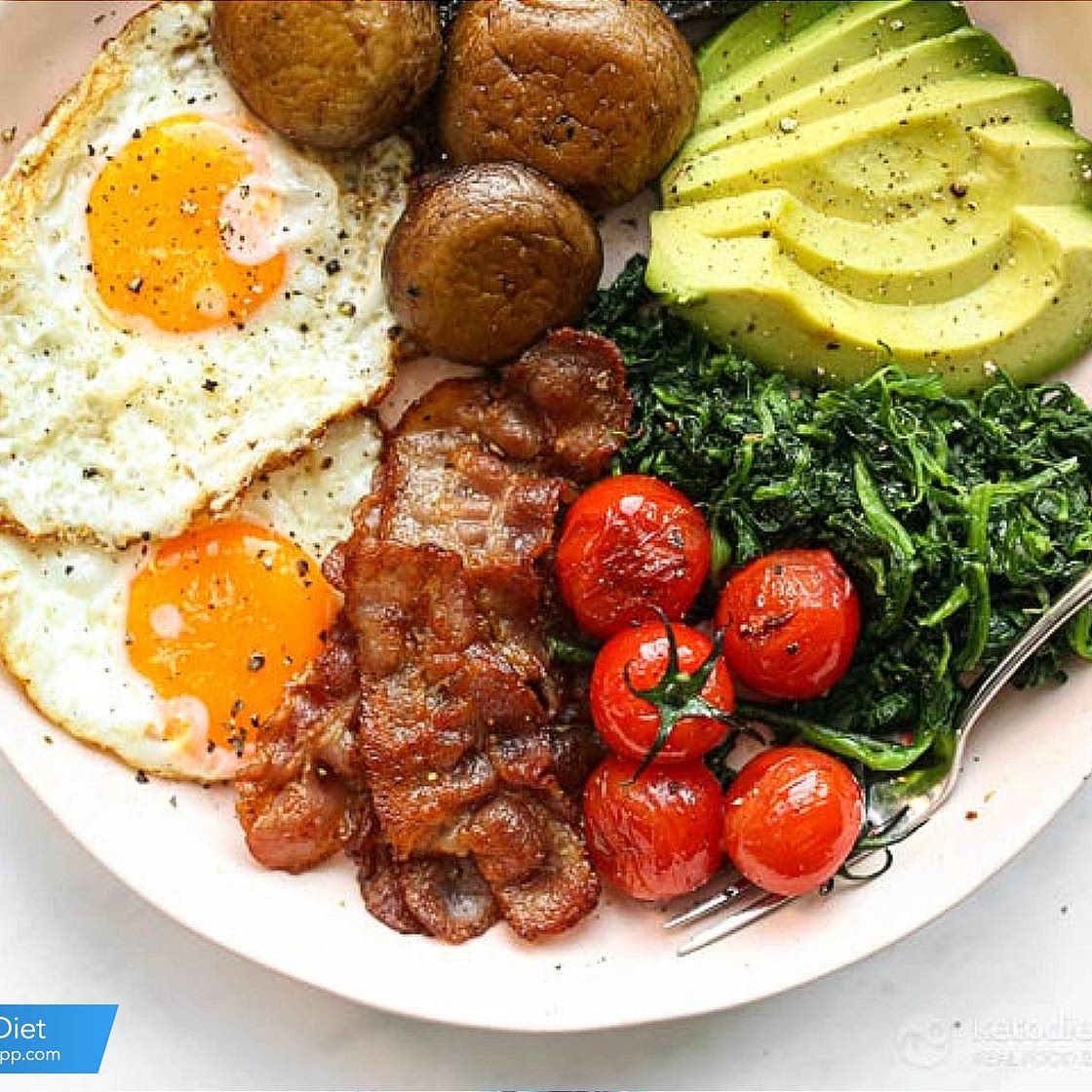 KetoDietApp.com