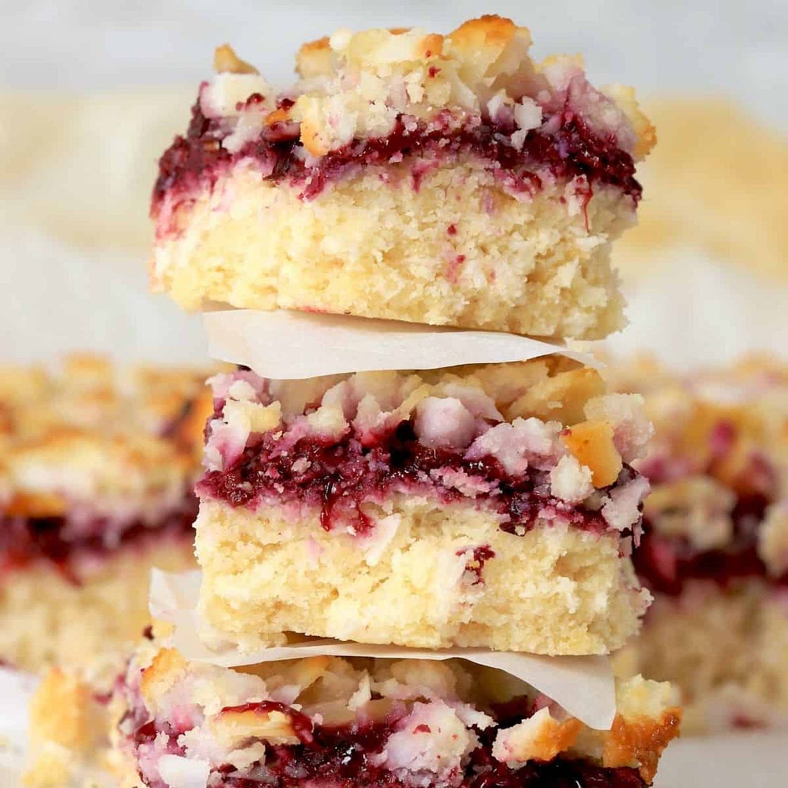 Low Carb Blackberry Coconut Bars