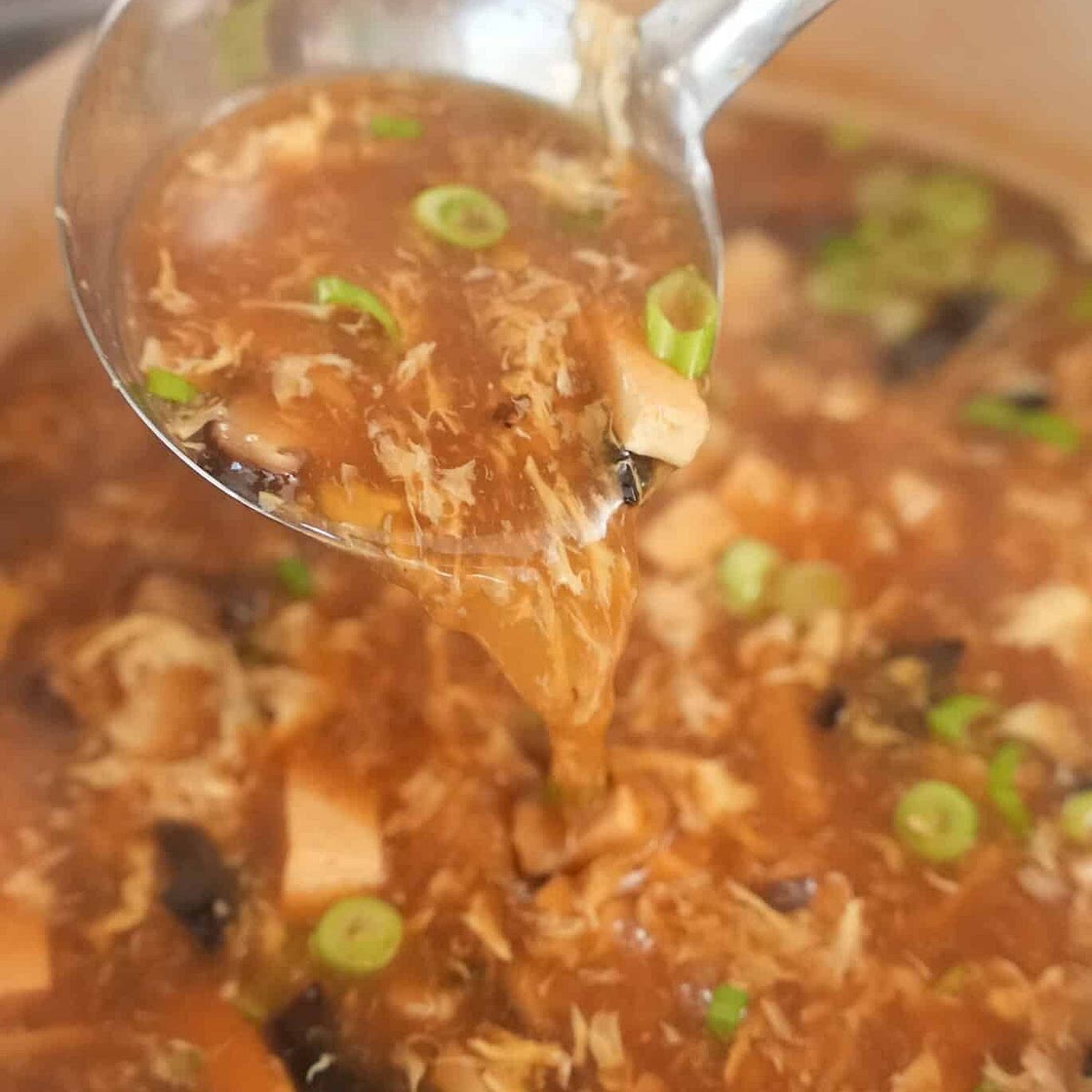 Hot and Sour Soup