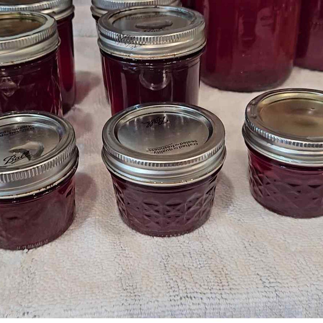 Homemade Canned Grape Jelly