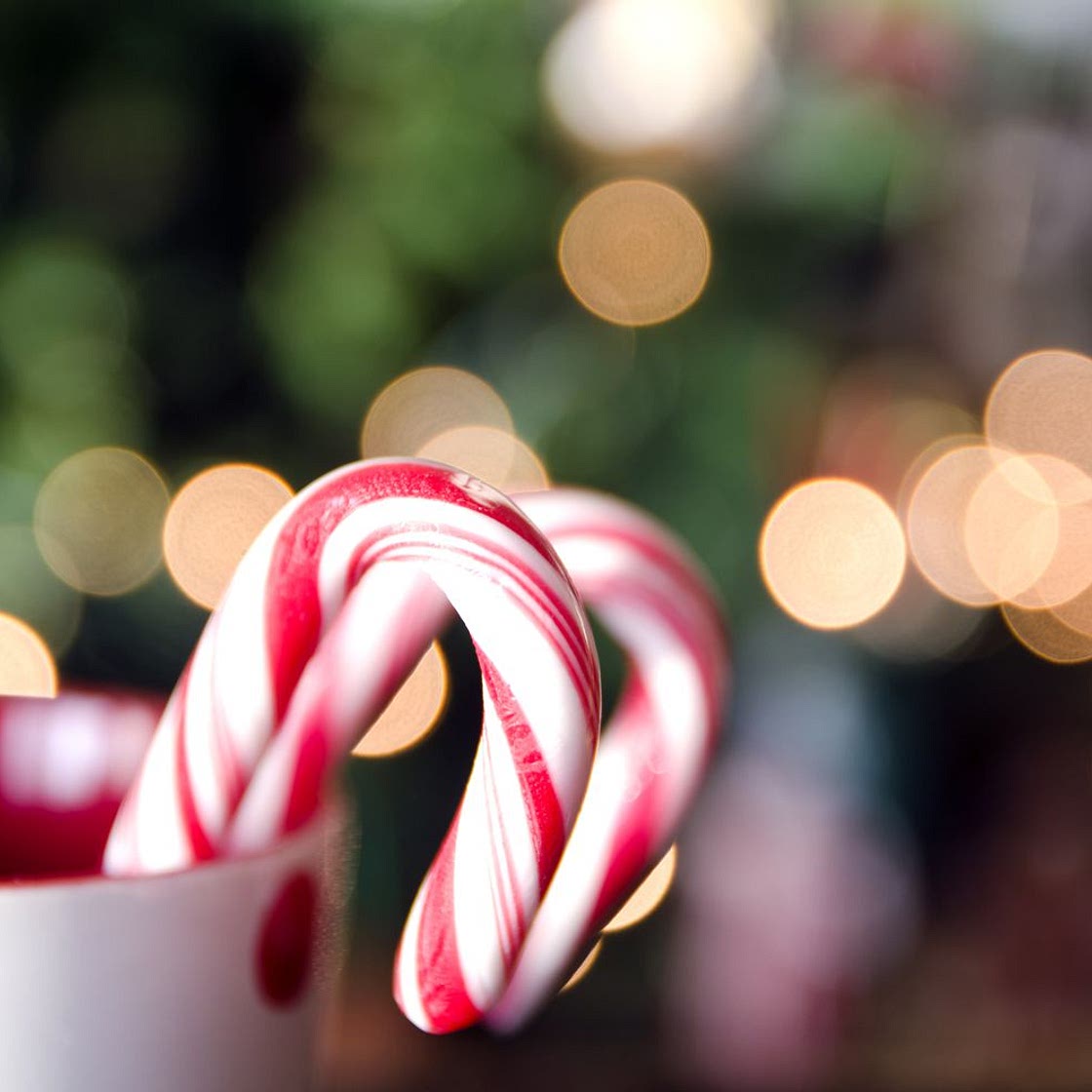 Homemade Candy Canes