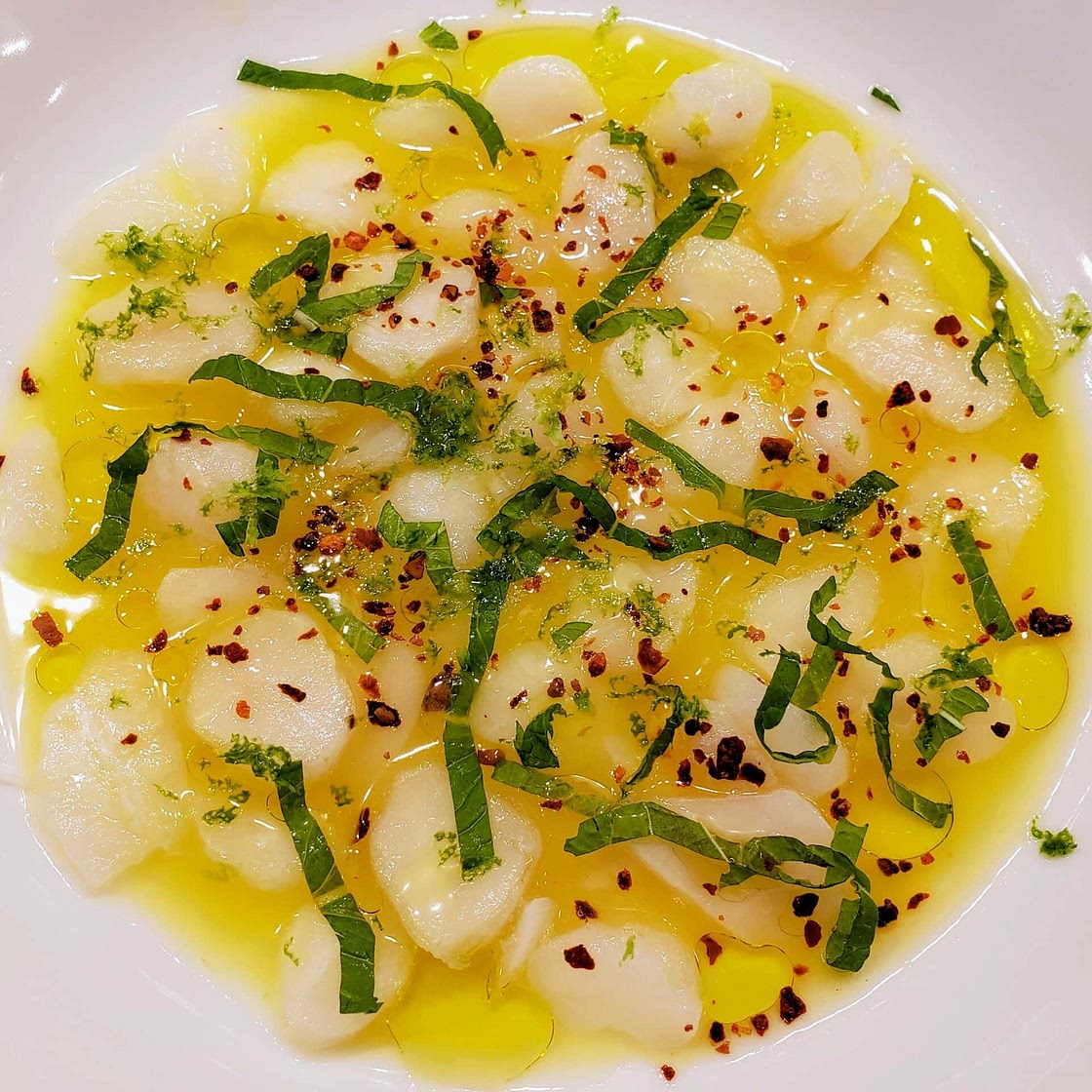 Scallop crudo