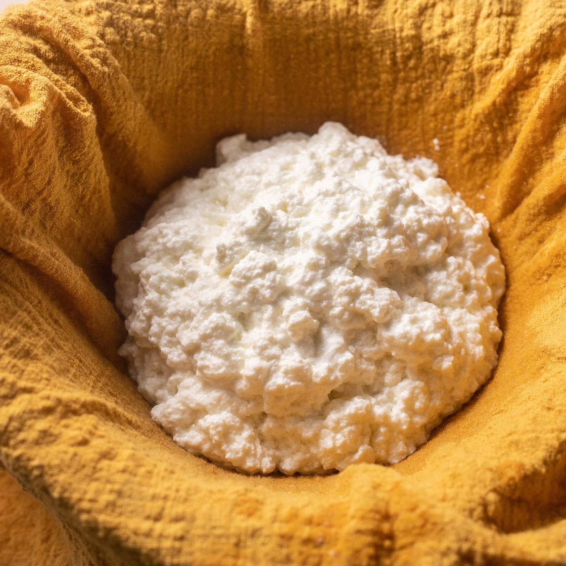 Whole Milk Ricotta Cheese Recipe