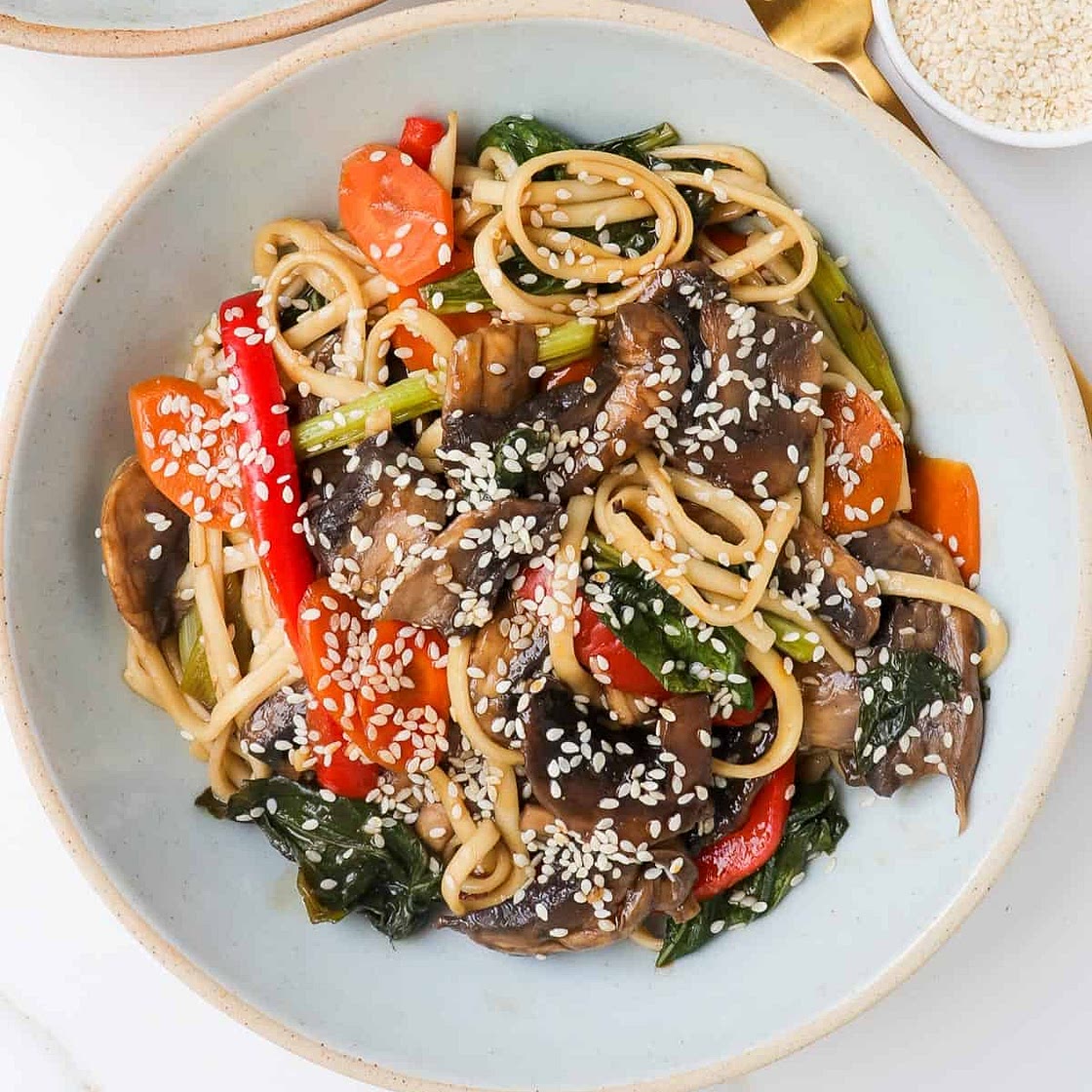 Vegetable Teriyaki Udon Noodles
