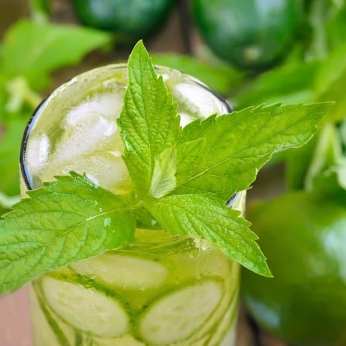 Copycat Starbucks Cool Lime Refresher