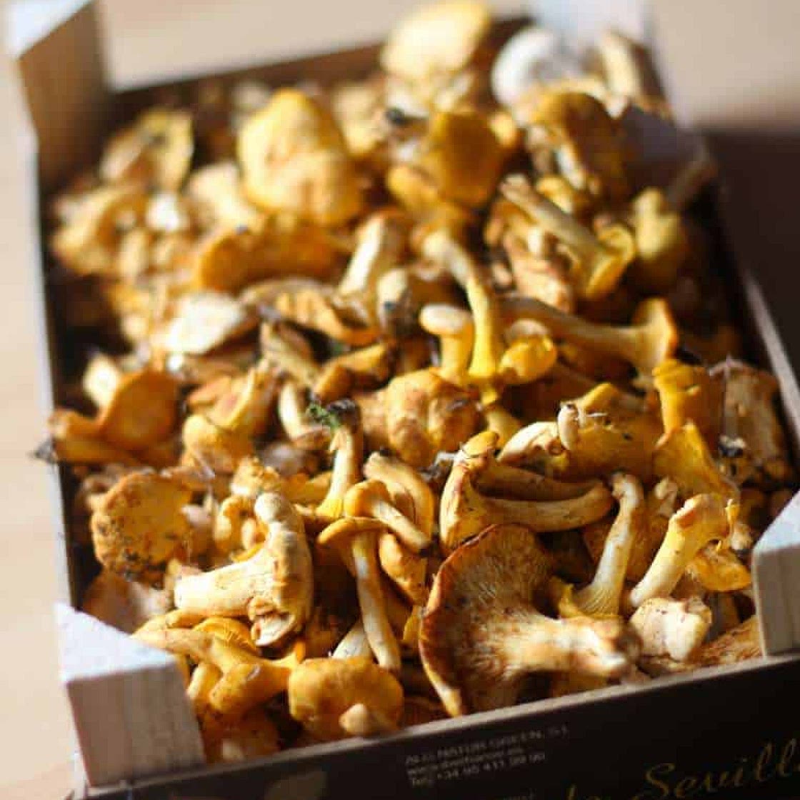 Chanterelle and Gruyère Tart