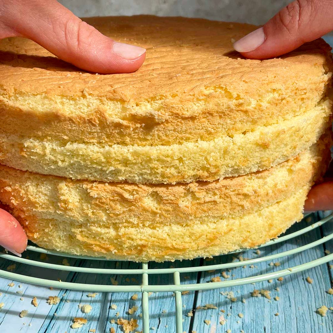 The BEST Sponge Cake (moist & fluffy!)