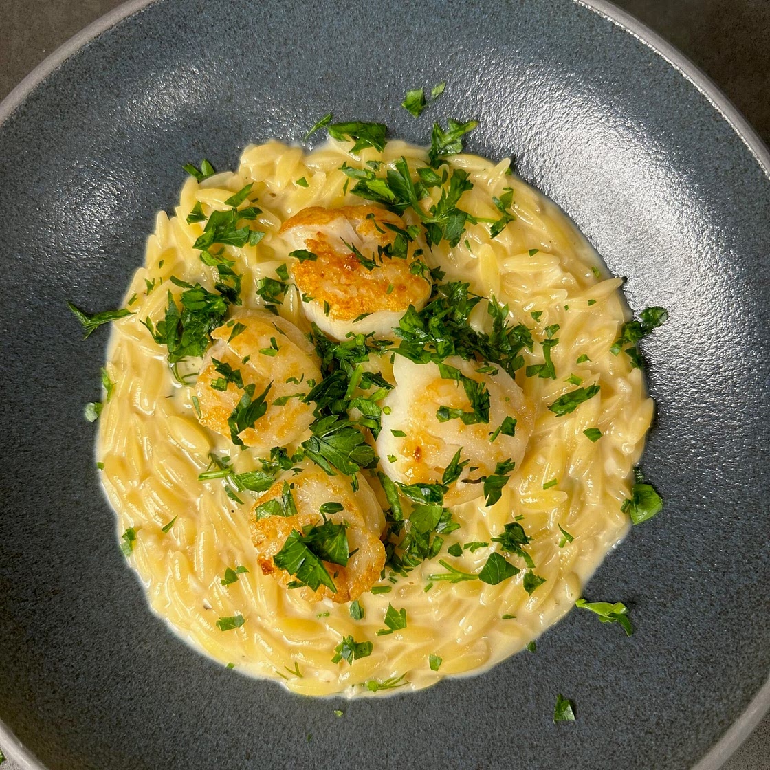 Creamy Lemon Dill Orzo with Seared Scallops