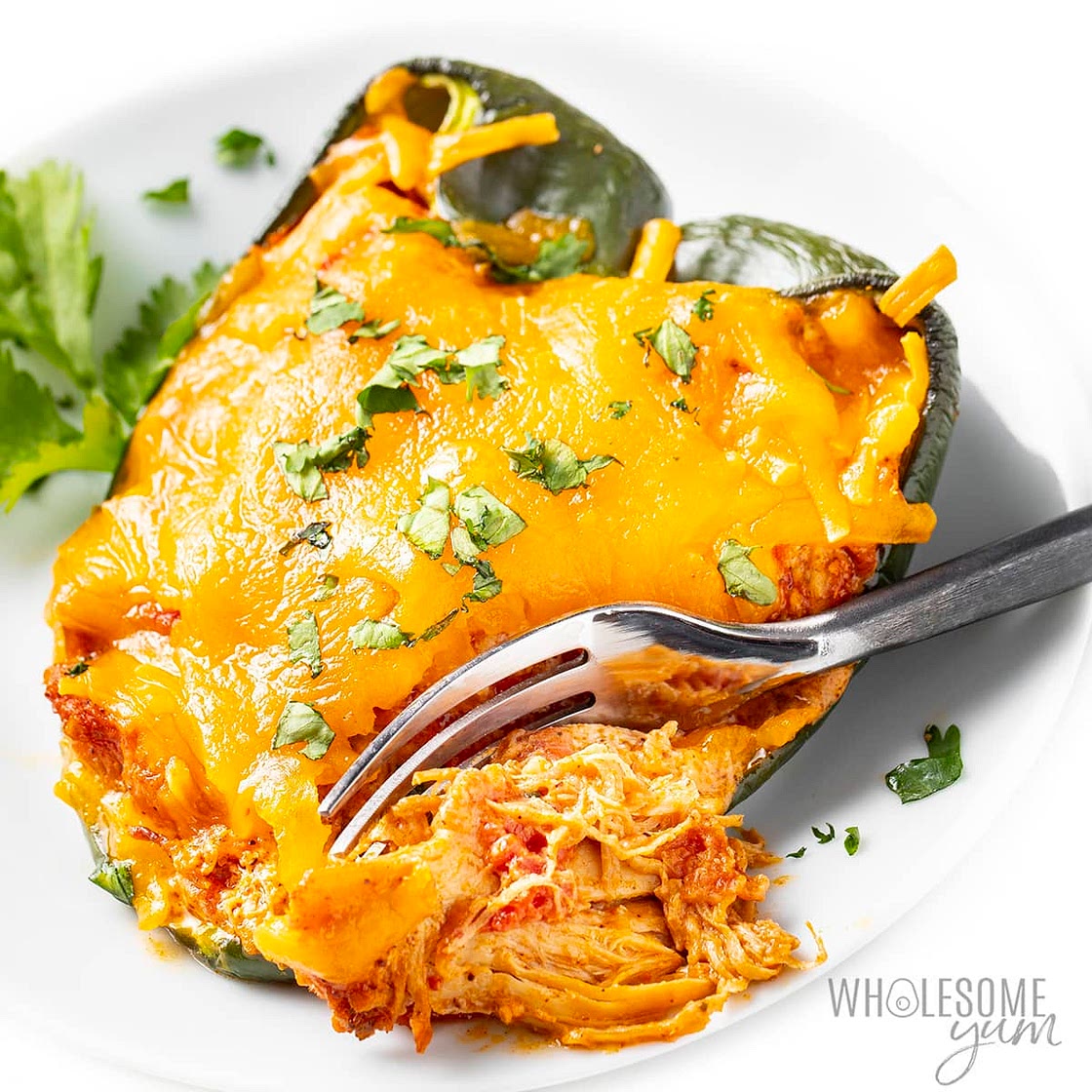 Stuffed Poblano Peppers (Easy!)