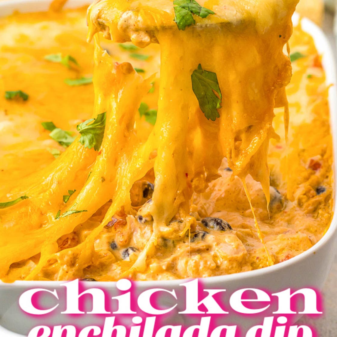 CHICKEN ENCHILADA DIP WITH ROTEL