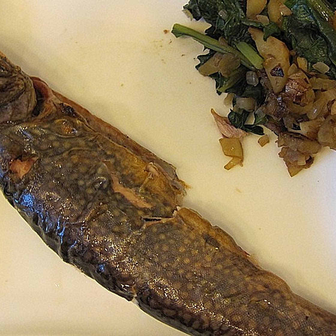 Knoblauch - Kräuter - Forelle mit Rosmarinkartoffeln