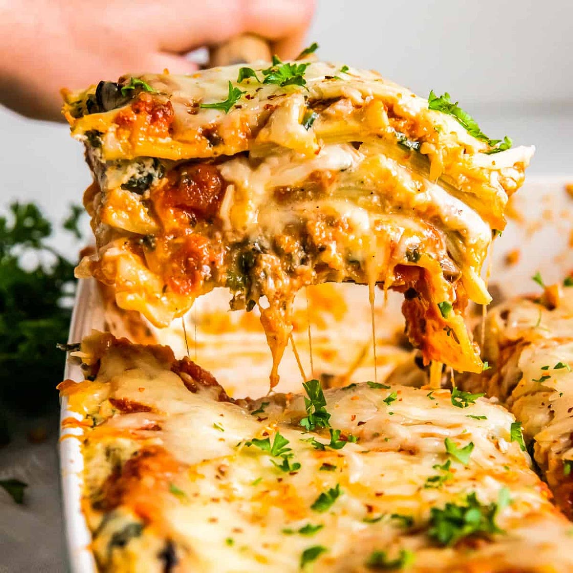 Vegetarian Lasagna Recipe